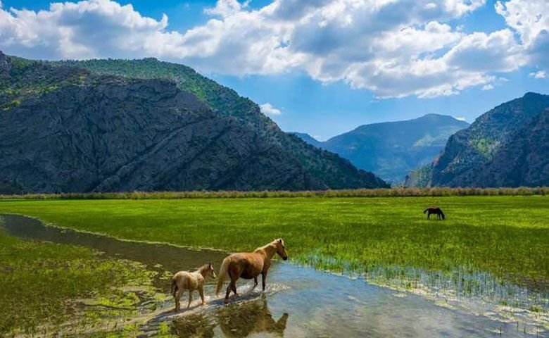 کوهنوردی-و-طبیعت‌گردی.jpg
