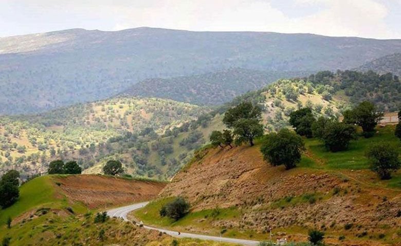 تنگ-صیاد.jpg
