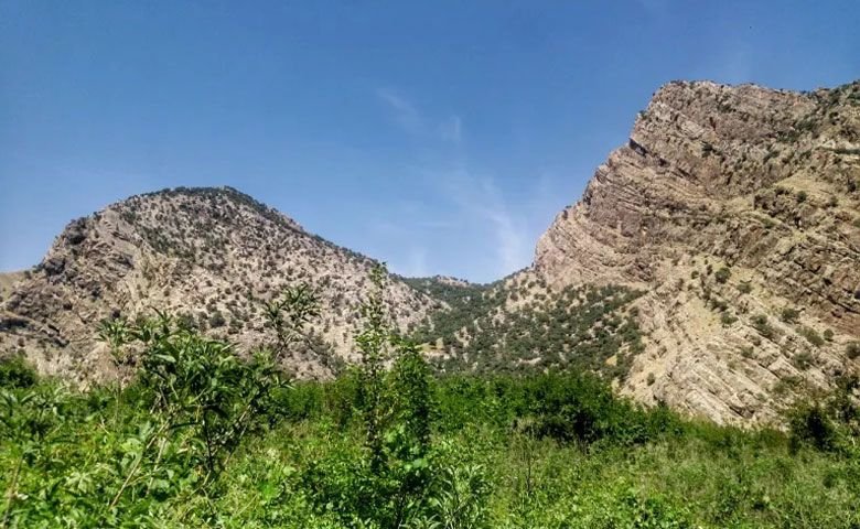 پیک-نیک.jpg
