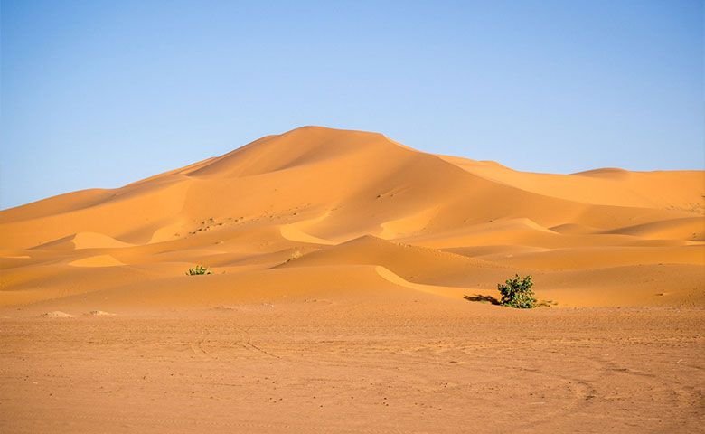 کویر کاراکال، زیستگاه سیاه‌گوش‌های زیبا