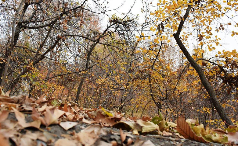 سفر به ییلاق های مشهد