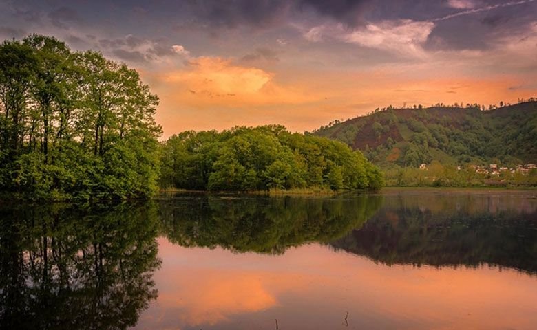 تالاب سوستان لاهیجان؛ تماشای نیلوفرهای آبی در دامن عروس گیلان | جاباما