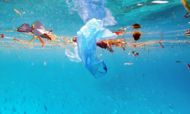 بدون استفاده از پلاستیک سفر کنید!