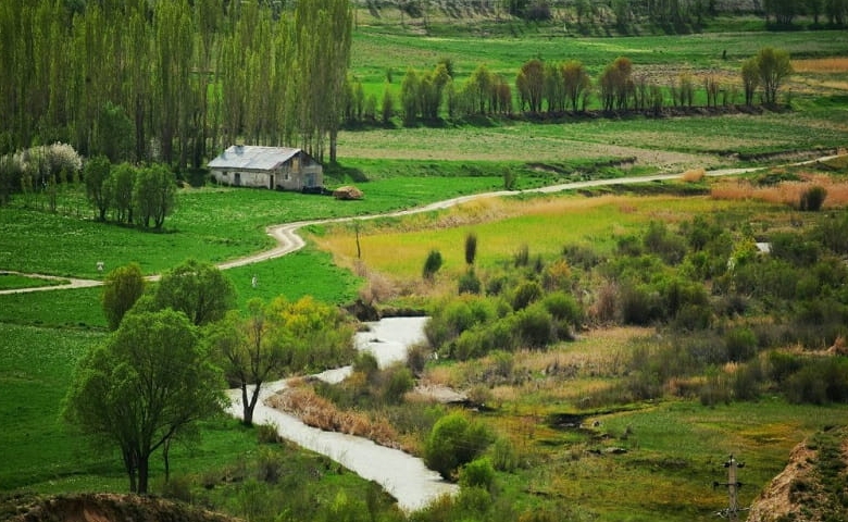 روستای سله بن