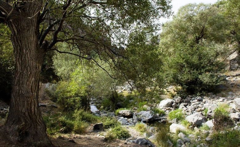 نکاتی-که-باید-پیش-از-سفر-به-درکه-بدانید.jpg