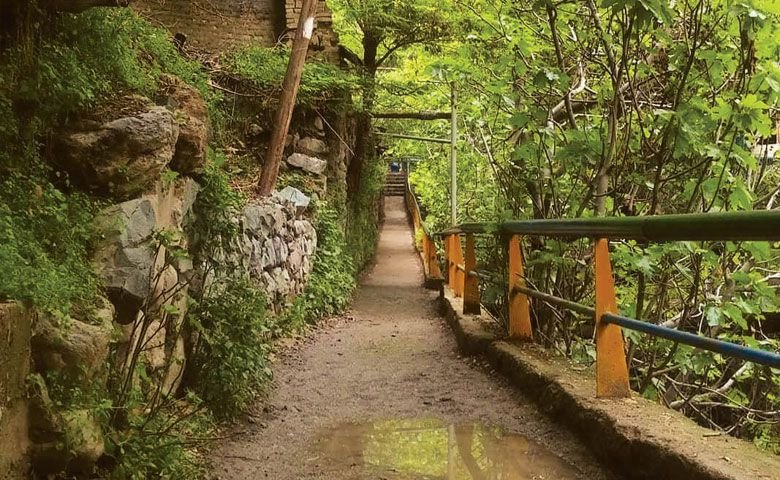 درکه تهران؛ بهشتی سبز در دل شهری خاکستری