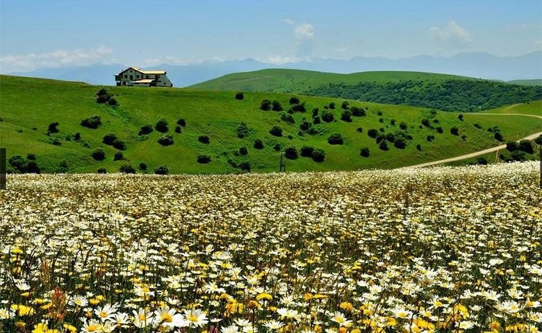 وضعیت آب و هوایی اردبیل