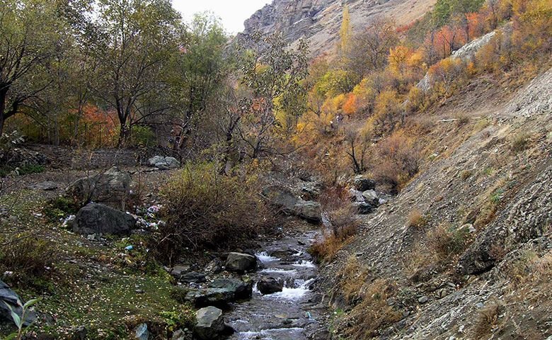 روستای-آهار.jpg