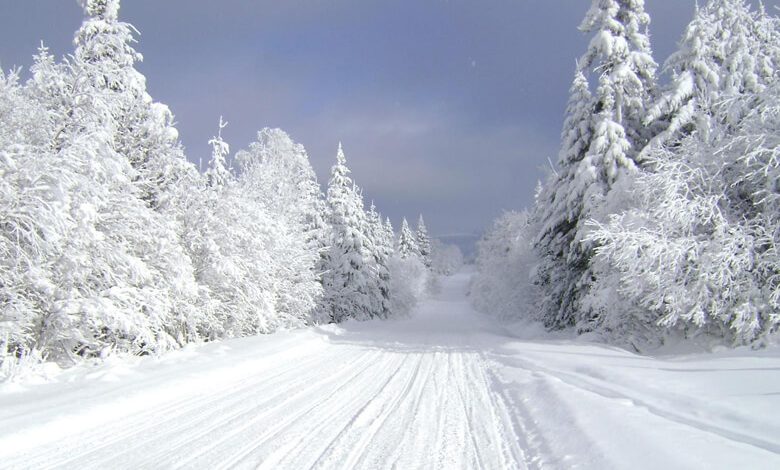 زمستان کجا بریم؟ سفر زمستانی در ایران با چاشنی آفتاب داغ و برف بازی!