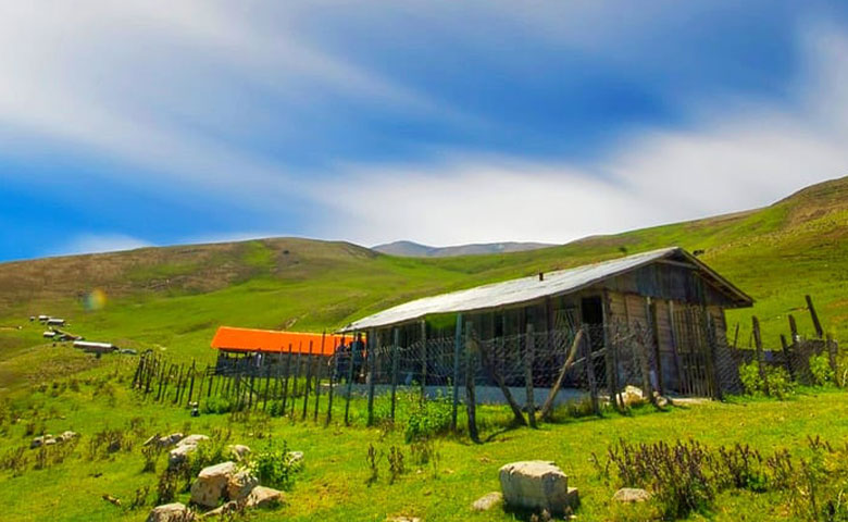 تطابق با آگهی
