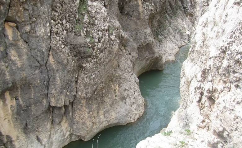 تنگ رود شیر