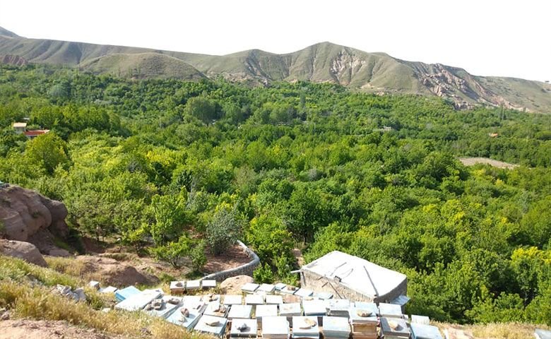 بهترین-مسیر-دسترسی-به-روستای-بوژان.jpg