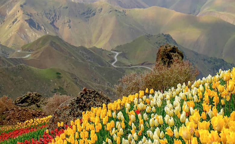 روستای کندر مزرعه لزور