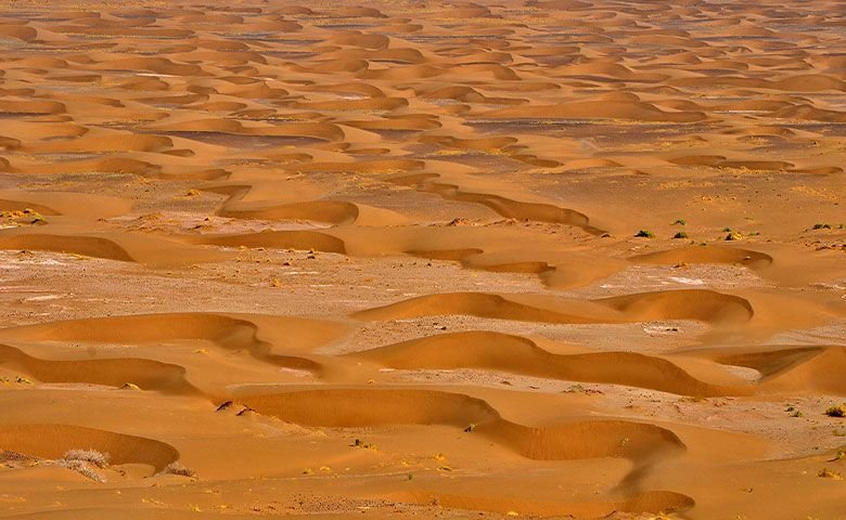 چال سلکنون کویر مصر