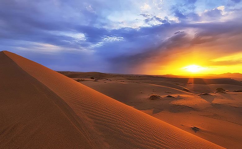 راهنمای کامل سفر به کویر مصر، کویری با تپههای طلایی