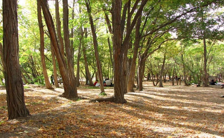 پارک جنگلی چیتگر