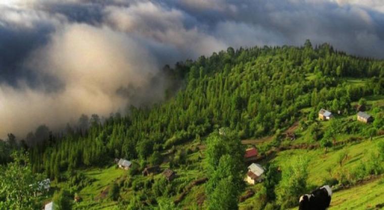 در سفر به شمال کجا بمانیم؟