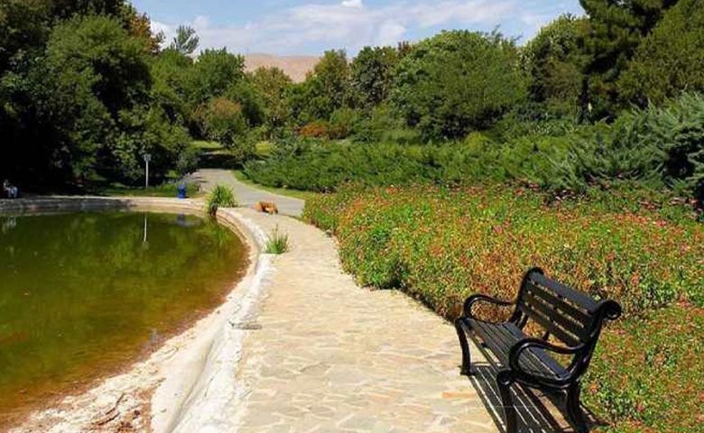 برکه‌ای در باغ گیاه شناسی با یک صندلی در کنارش