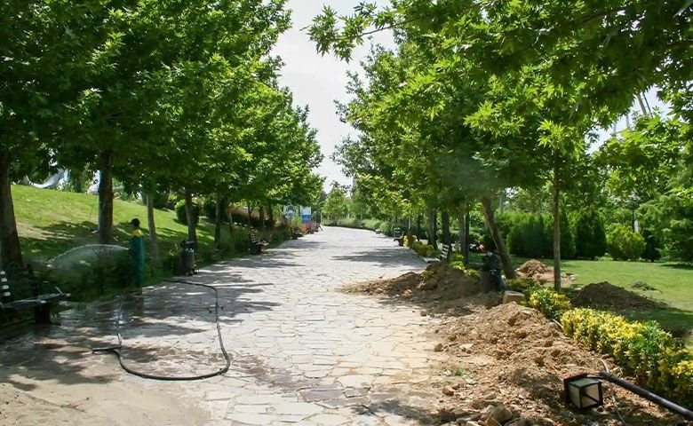 پارک جنگلی چیتگر