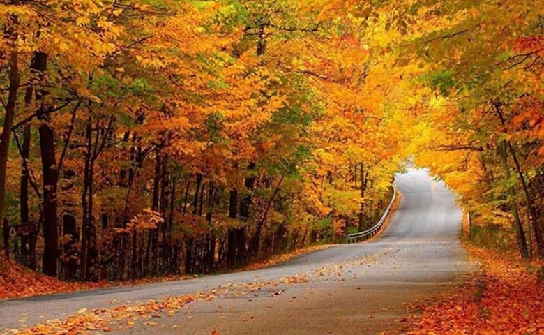 فصل-پاییز-شمال،-لذت-گشت&zwnj;وگذار-در-طبیعی-تماشایی-و-هزاررنگ.jpg