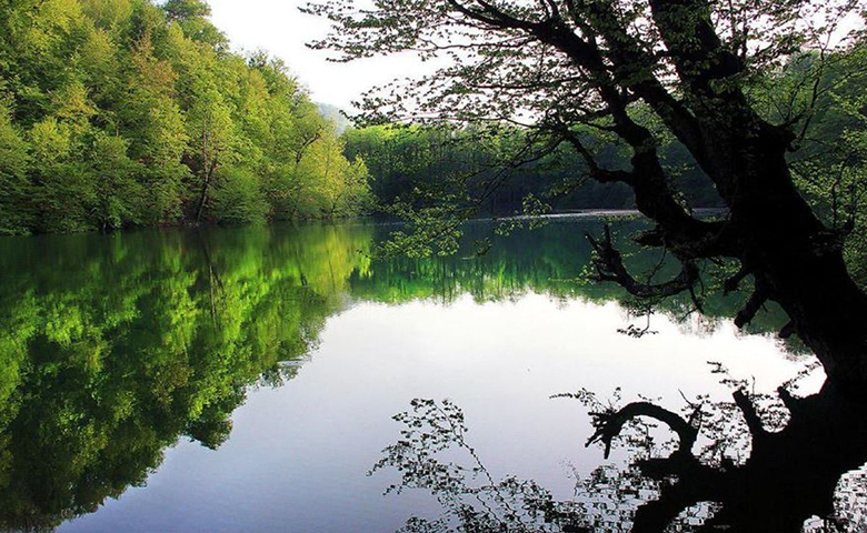 جاذبه های گردشگری ساری