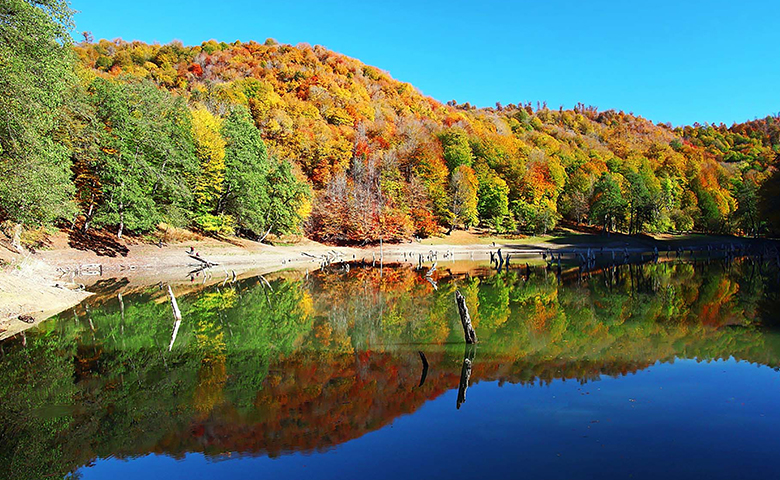 جاذبه های ساری