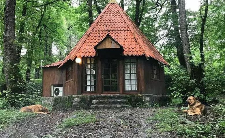 پارک جنگلی چالدره؛ فرصتی برای آرامش در آغوش طبیعت | جاباما