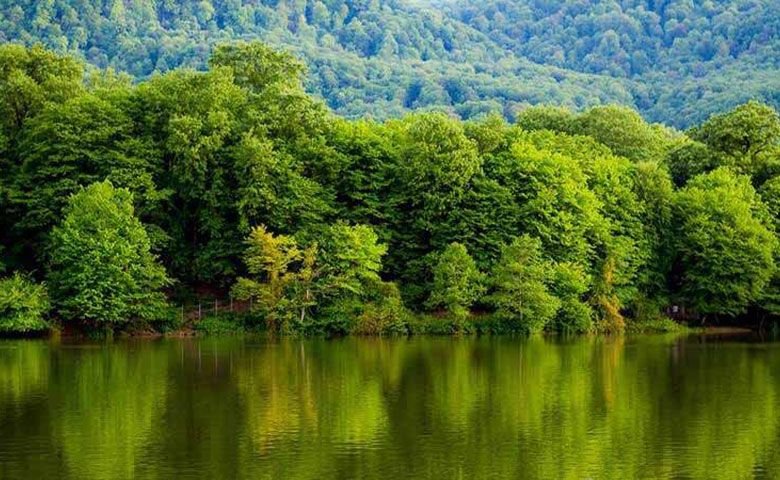 عکاسی-از-طبیعت.jpg