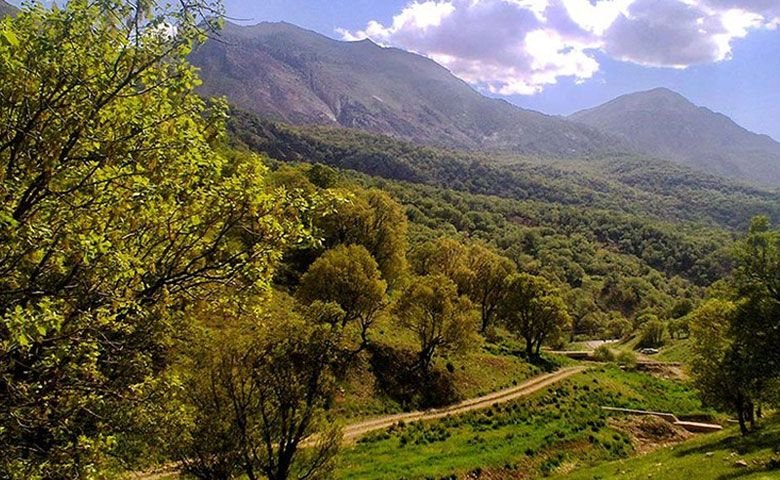 پیک-نیک.jpg