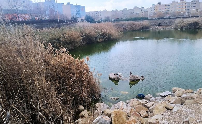 پارک-فروزان.jpg