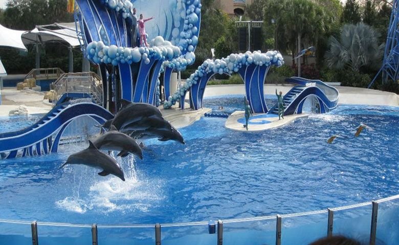 آکواریوم کیش و دانستنی‌های جذاب درباره آن