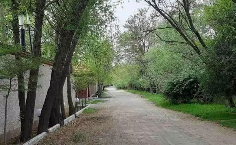 تهراندشت.jpg