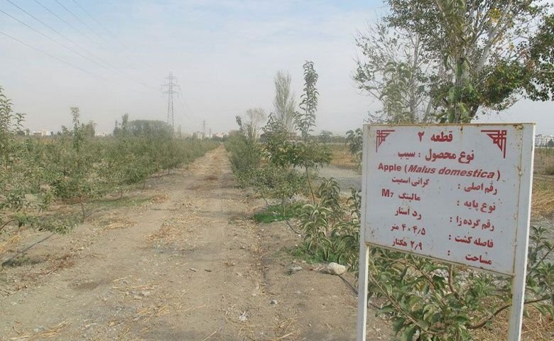 باغ-سیب-مهرشهر.jpg