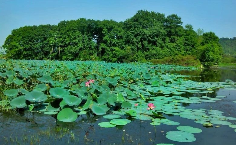 جاهای دیدنی لاهیجان