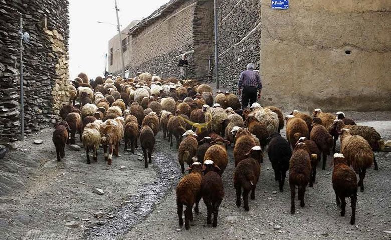 کوچ عشایر.jpg