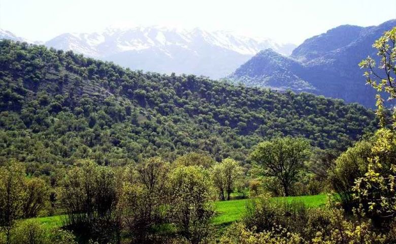 تنگه-شبیخون.jpg