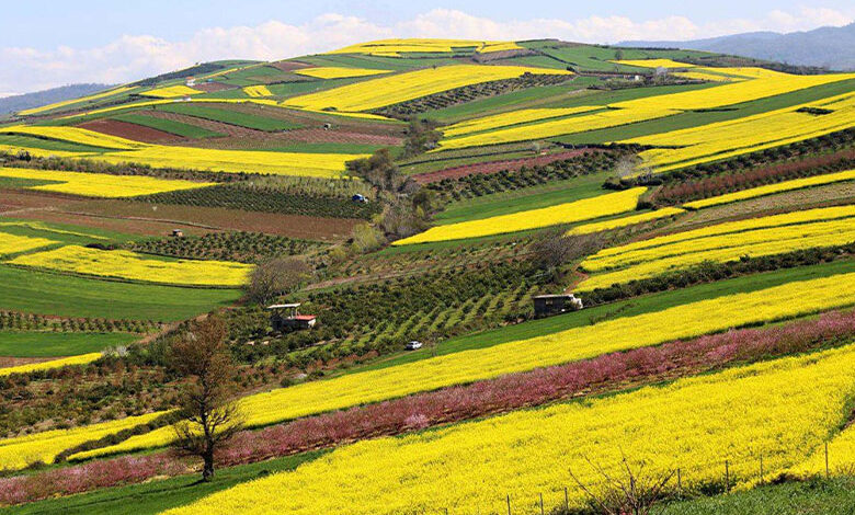 جاهای دیدنی مازندران