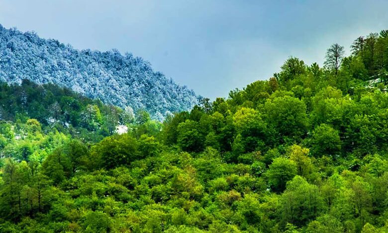 خلوت ترین و بکرترین جاهای دیدنی شمال که کمتر کسی میشناسد!