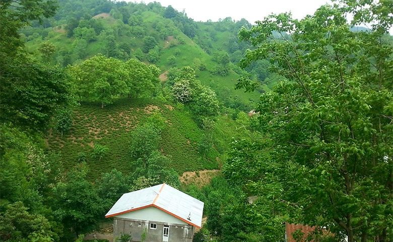 روستای-سرچشمه-لاهیجان.jpg
