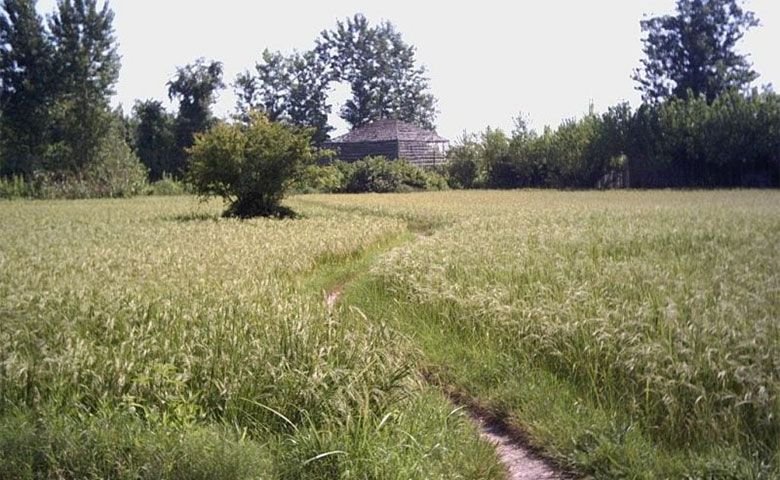 روستای یوسفده لاهیجان