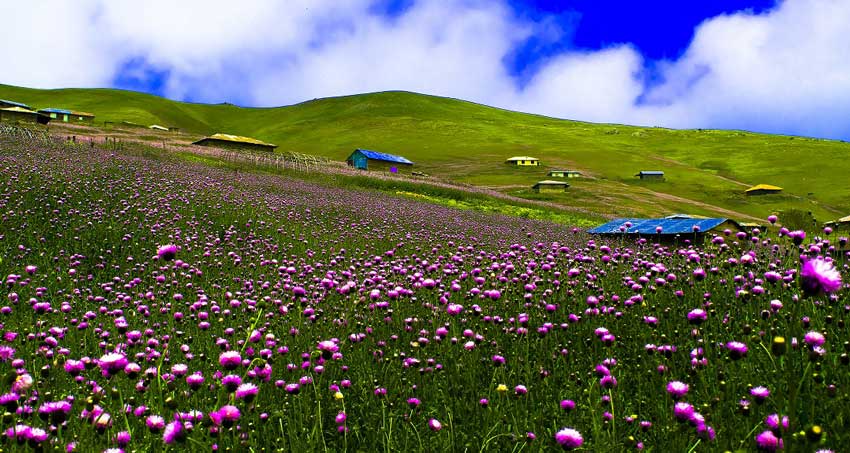 بهشت خلخال،پناهگاه روزهای گرم تابستان