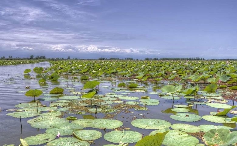 تالاب انزلی