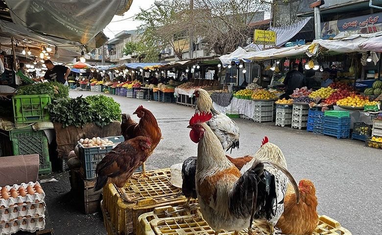 بازارهای ساحلی انزلی