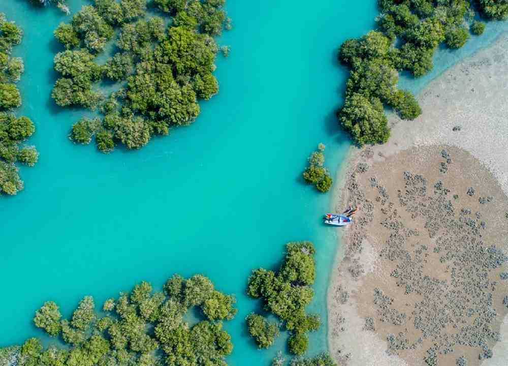 نمای هلی شات از جنگل حرا همراه با قایقی کنار آب