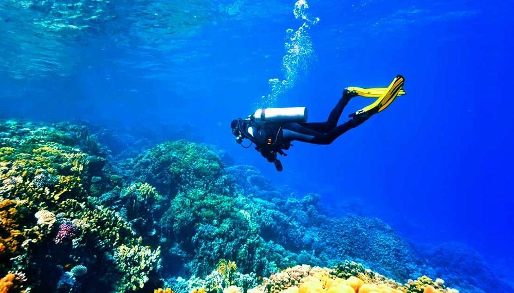 مردی در حال غواصی در آبهای قشم