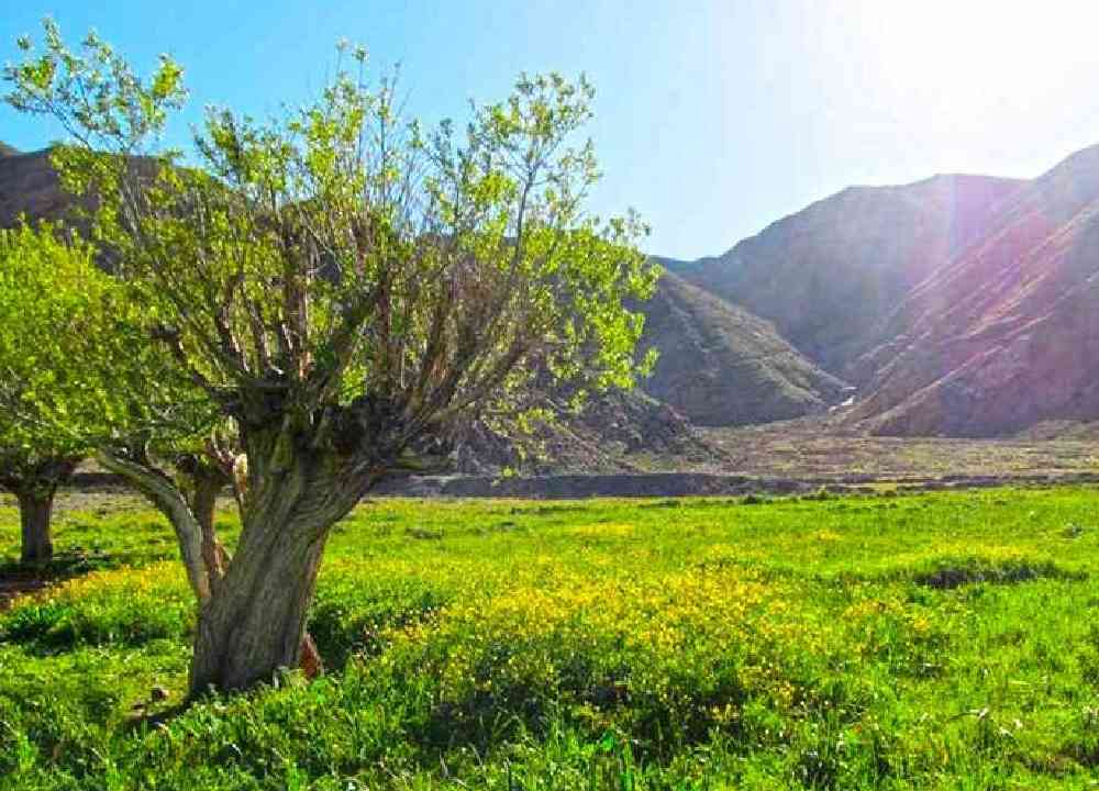 منطقه دیدنی دشت هویج در روستای افجه از توابع لواسانات