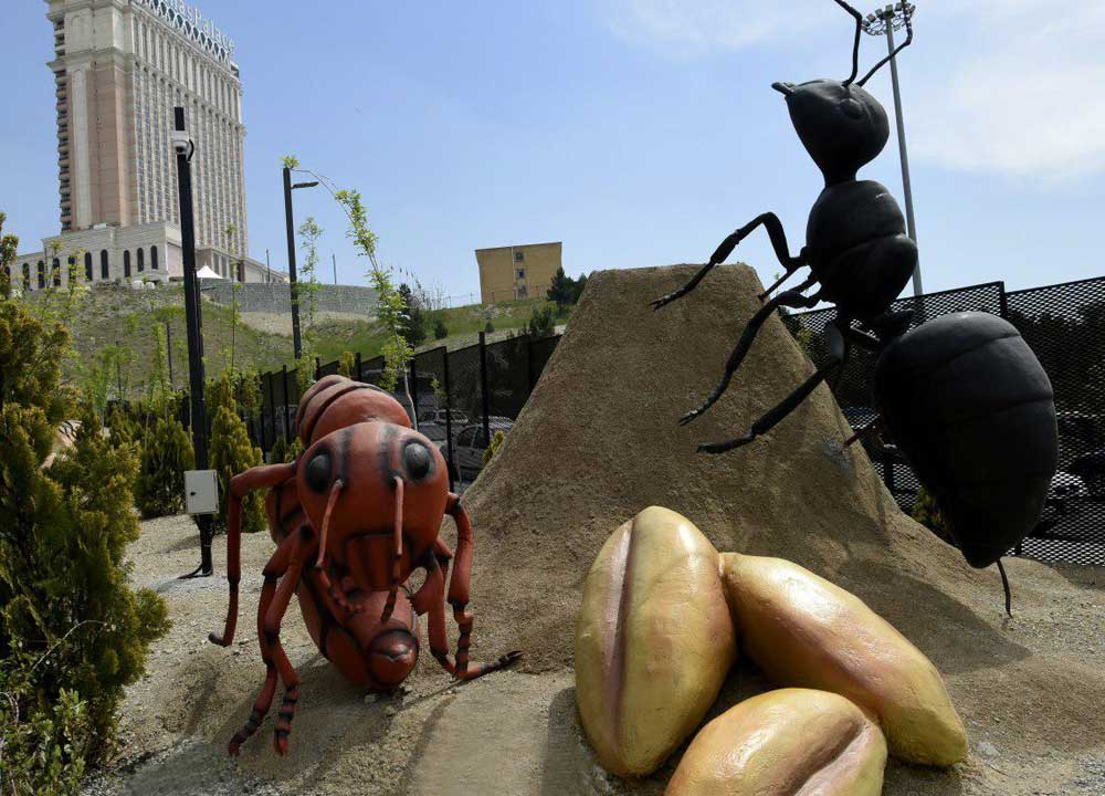 عنکبوت و مورچه غول پیکر درحال ذخیره آذوقه در اسپایدر پارک تهران