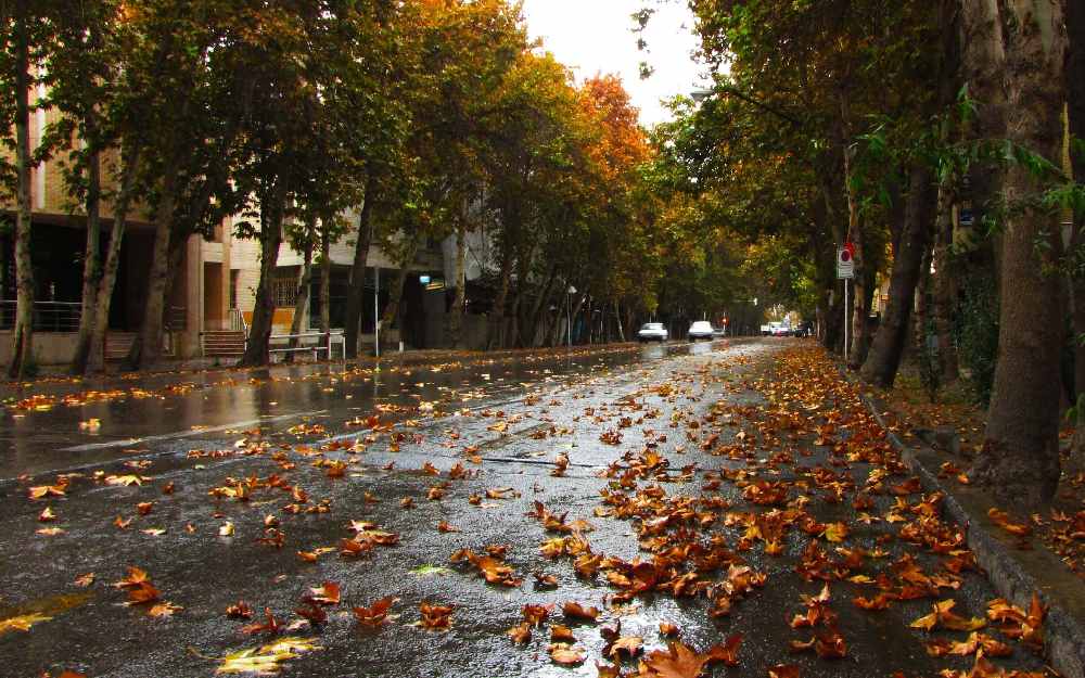 خیابانهای تهران در فصل پاییز پوشیده از برگهای زرد و باران پاییزی