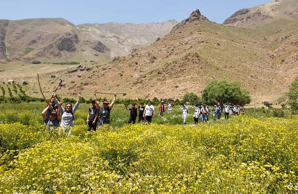 دشت هویج افجه