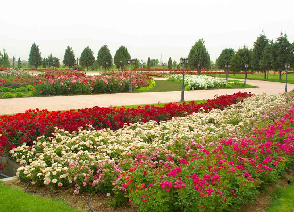 پوشش گیاهی گلهای بهاری باغ گیاه شناسی
